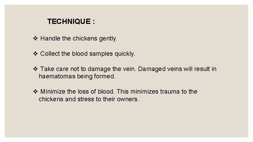 TECHNIQUE : v Handle the chickens gently. v Collect the blood samples quickly. v