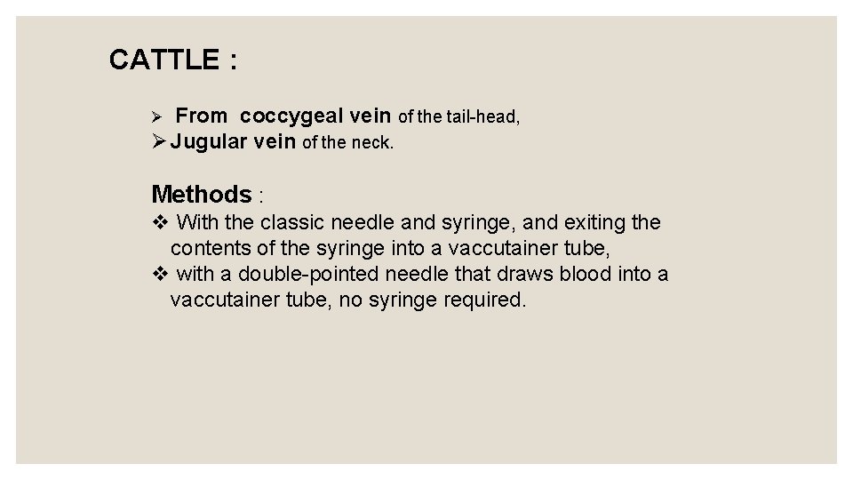 CATTLE : From coccygeal vein of the tail-head, Ø Jugular vein of the neck.
