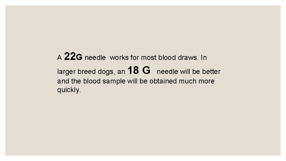 A 22 G needle works for most blood draws. In larger breed dogs, an