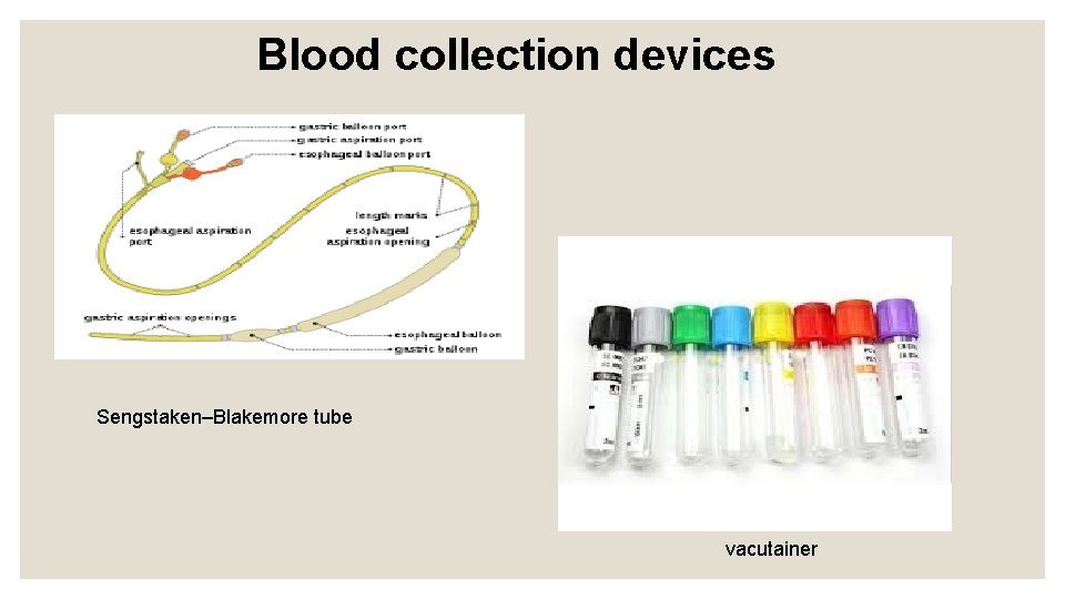 Blood collection devices Sengstaken–Blakemore tube vacutainer 