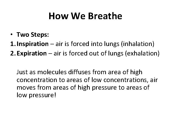 How We Breathe • Two Steps: 1. Inspiration – air is forced into lungs