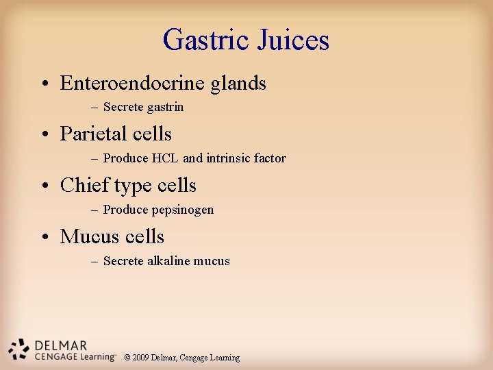 Gastric Juices • Enteroendocrine glands – Secrete gastrin • Parietal cells – Produce HCL