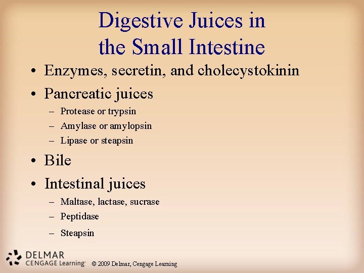 Digestive Juices in the Small Intestine • Enzymes, secretin, and cholecystokinin • Pancreatic juices