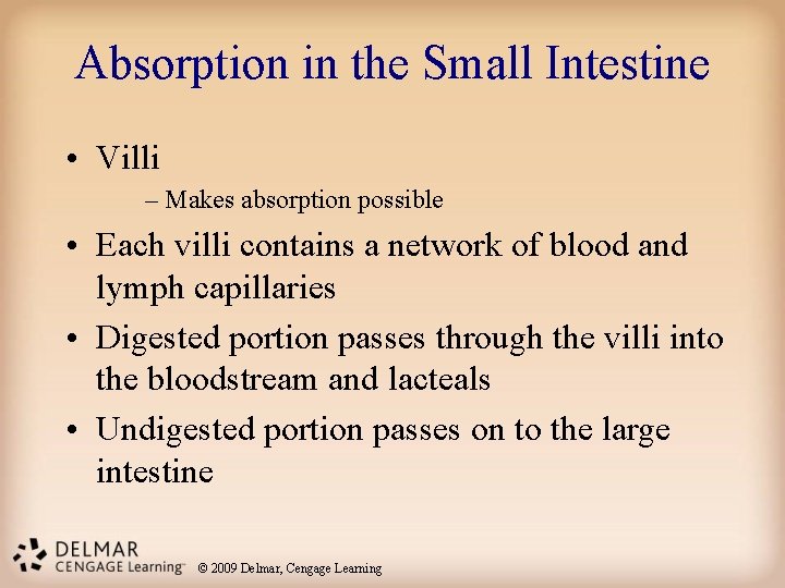 Absorption in the Small Intestine • Villi – Makes absorption possible • Each villi