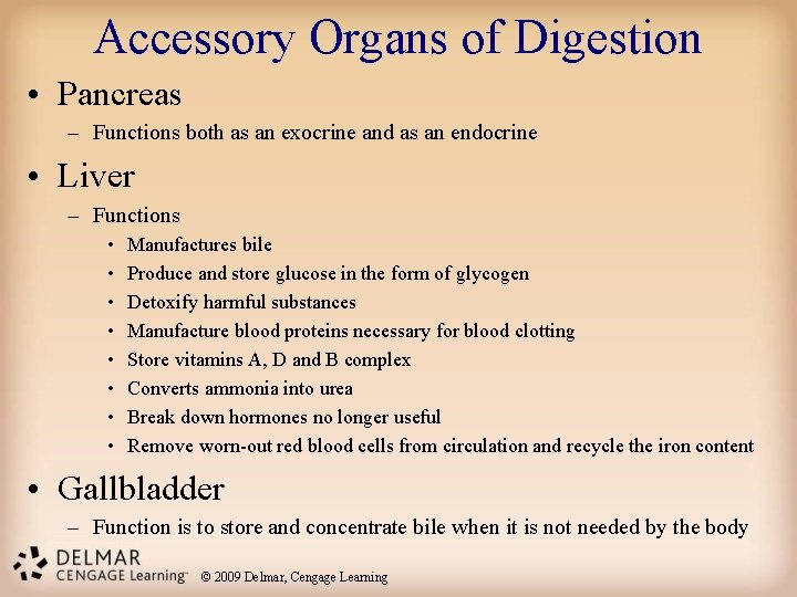 Accessory Organs of Digestion • Pancreas – Functions both as an exocrine and as