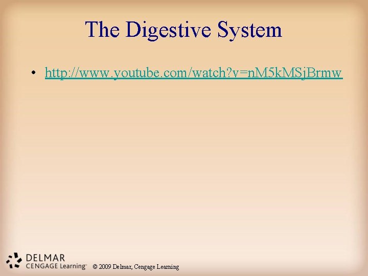 The Digestive System • http: //www. youtube. com/watch? v=n. M 5 k. MSj. Brmw