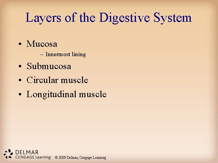 Layers of the Digestive System • Mucosa – Innermost lining • Submucosa • Circular