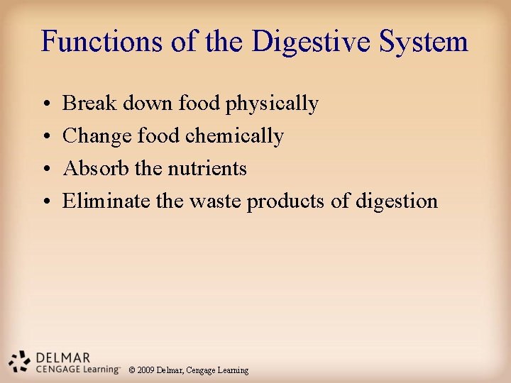 Functions of the Digestive System • • Break down food physically Change food chemically