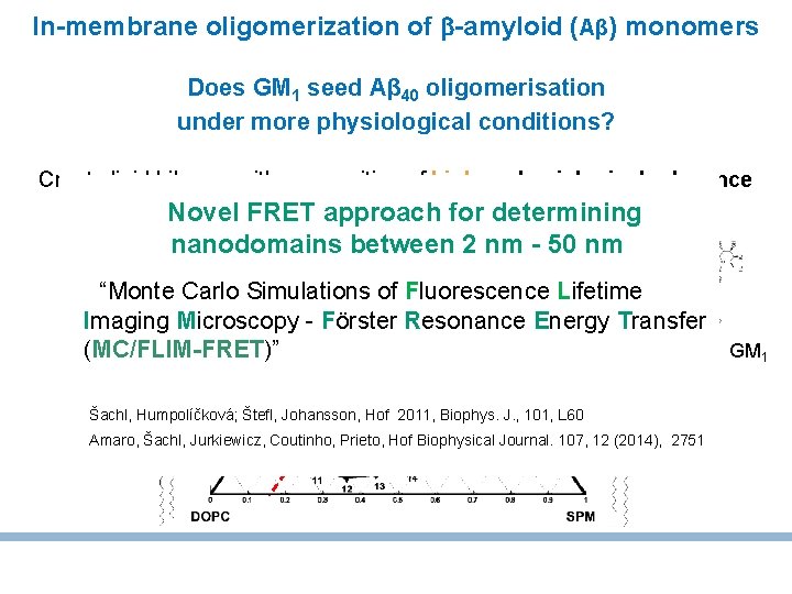 In-membrane oligomerization of -amyloid (Aβ) monomers Does GM 1 seed Aβ 40 oligomerisation under