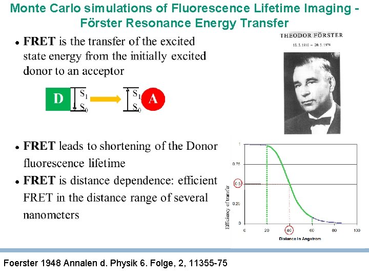 Monte Carlo simulations of Fluorescence Lifetime Imaging Förster Resonance Energy Transfer Foerster 1948 Annalen