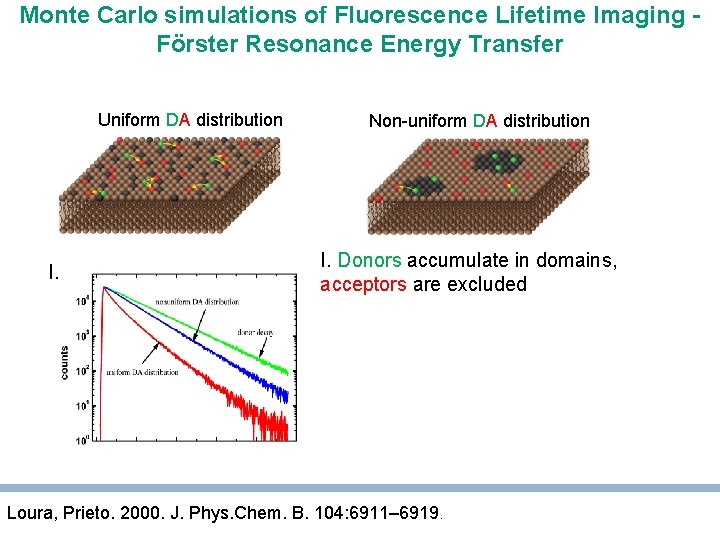 Monte Carlo simulations of Fluorescence Lifetime Imaging Förster Resonance Energy Transfer Uniform DA distribution