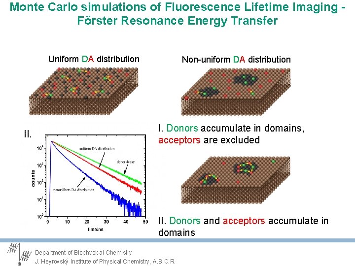 Monte Carlo simulations of Fluorescence Lifetime Imaging Förster Resonance Energy Transfer Uniform DA distribution