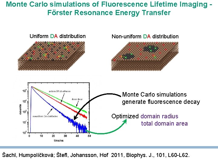 Monte Carlo simulations of Fluorescence Lifetime Imaging Förster Resonance Energy Transfer Uniform DA distribution