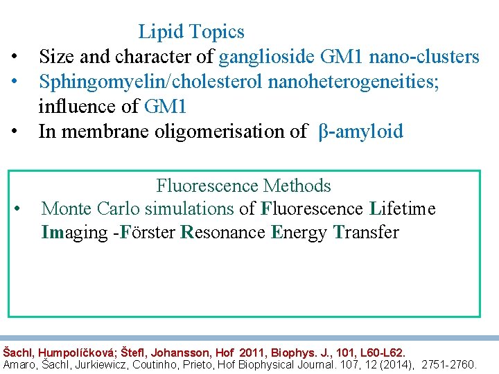 Lipid Topics • Size and character of ganglioside GM 1 nano-clusters • Sphingomyelin/cholesterol nanoheterogeneities;