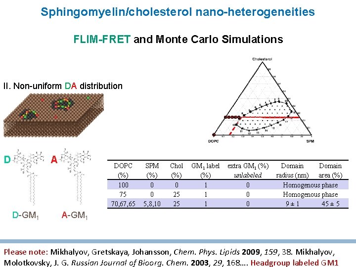 Sphingomyelin/cholesterol nano-heterogeneities FLIM-FRET and Monte Carlo Simulations II. Non-uniform DA distribution A D D-GM