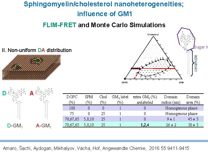 Sphingomyelin/cholesterol nanoheterogeneities; influence of GM 1 FLIM-FRET and Monte Carlo Simulations Sugar h ceramide