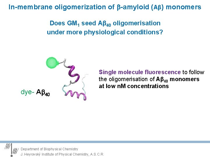 In-membrane oligomerization of -amyloid (Aβ) monomers Does GM 1 seed Aβ 40 oligomerisation under