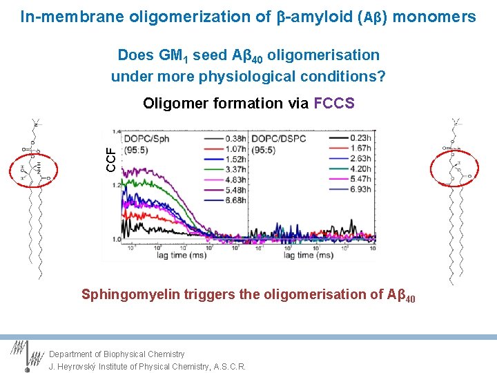 In-membrane oligomerization of -amyloid (Aβ) monomers Does GM 1 seed Aβ 40 oligomerisation under