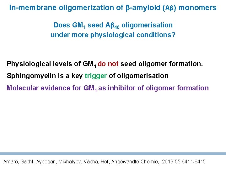 In-membrane oligomerization of -amyloid (Aβ) monomers Does GM 1 seed Aβ 40 oligomerisation under