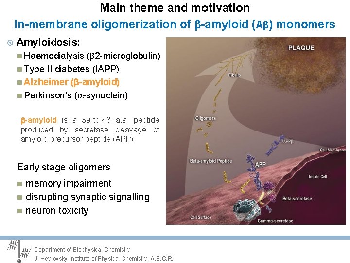 Main theme and motivation In-membrane oligomerization of -amyloid (Aβ) monomers Amyloidosis: Haemodialysis (b 2