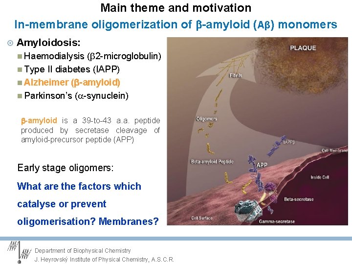 Main theme and motivation In-membrane oligomerization of -amyloid (Aβ) monomers Amyloidosis: Haemodialysis (b 2