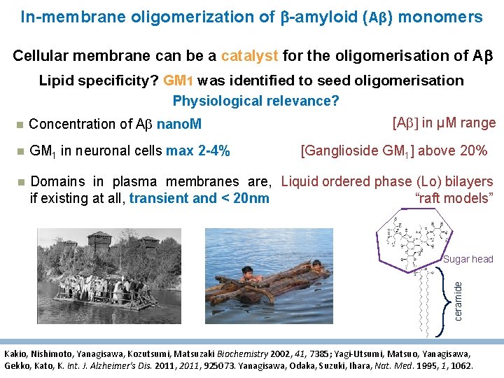 In-membrane oligomerization of -amyloid (Aβ) monomers Cellular membrane can be a catalyst for the