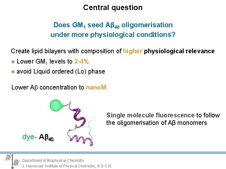 Central question Does GM 1 seed Aβ 40 oligomerisation under more physiological conditions? Create