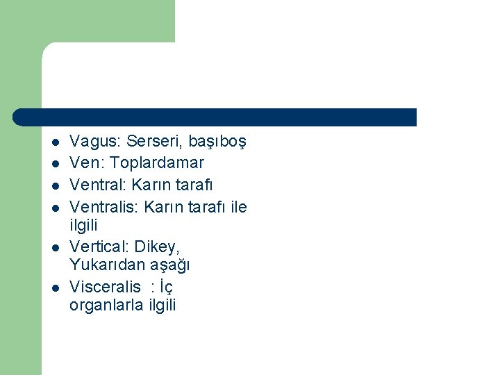 l l l Vagus: Serseri, başıboş Ven: Toplardamar Ventral: Karın tarafı Ventralis: Karın tarafı