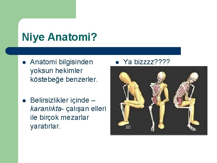 Niye Anatomi? l Anatomi bilgisinden yoksun hekimler köstebeğe benzerler. l Belirsizlikler içinde – karanlıkta-