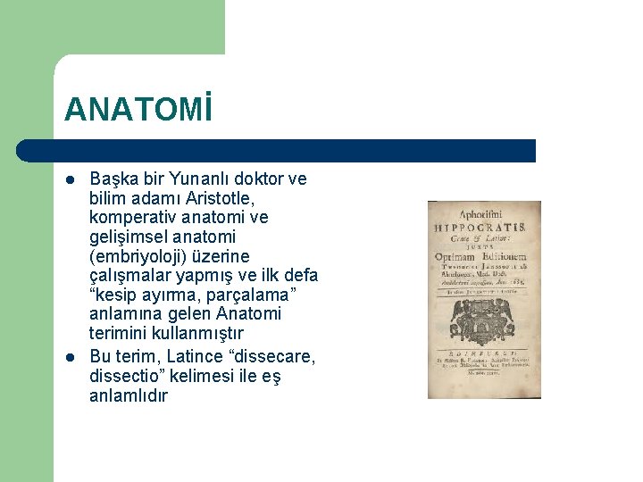 ANATOMİ l l Başka bir Yunanlı doktor ve bilim adamı Aristotle, komperativ anatomi ve