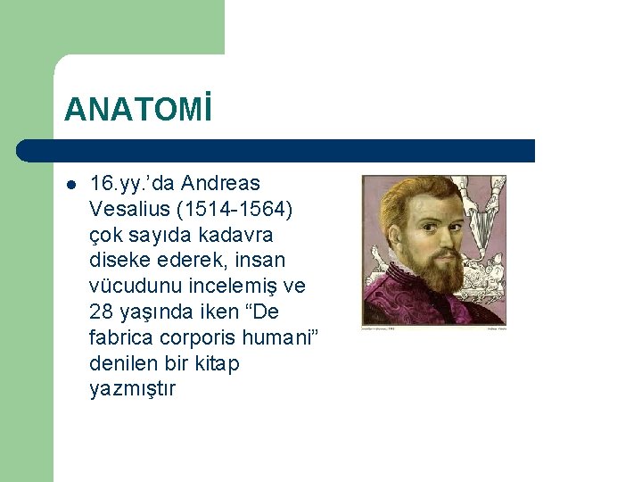 ANATOMİ l 16. yy. ’da Andreas Vesalius (1514 -1564) çok sayıda kadavra diseke ederek,