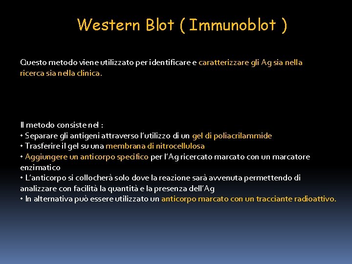 Western Blot ( Immunoblot ) Questo metodo viene utilizzato per identificare e caratterizzare gli