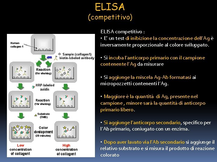ELISA (competitivo) ELISA competitivo : • E’ un test di inibizione la concentrazione dell’Ag