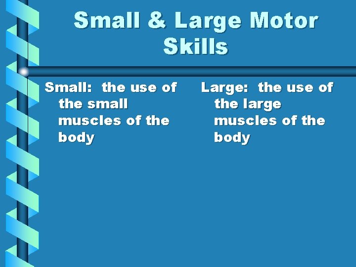 Small & Large Motor Skills Small: the use of the small muscles of the