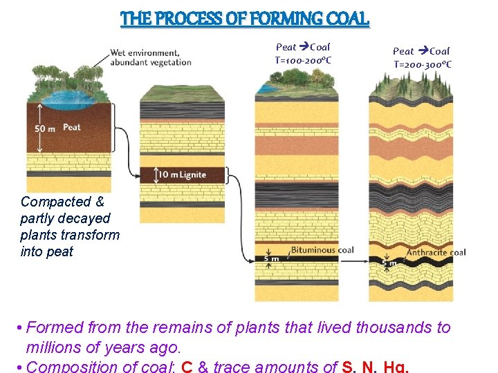 THE PROCESS OF FORMING COAL Peat Coal T=100 -200 o. C Peat Coal T=200