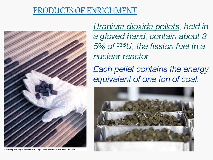 PRODUCTS OF ENRICHMENT Uranium dioxide pellets, held in a gloved hand, contain about 35%