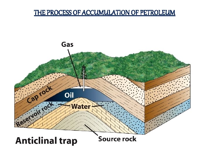 THE PROCESS OF ACCUMULATION OF PETROLEUM 