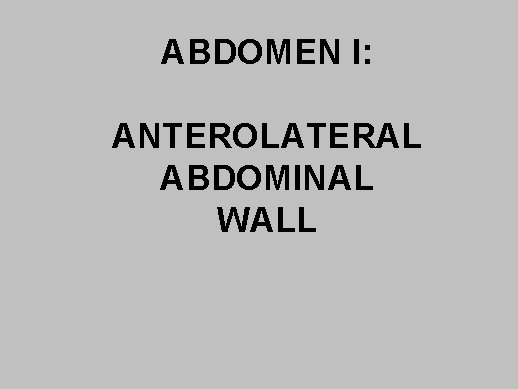 ABDOMEN I: ANTEROLATERAL ABDOMINAL WALL 