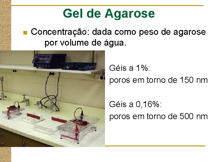 Gel de Agarose n Concentração: dada como peso de agarose por volume de água.