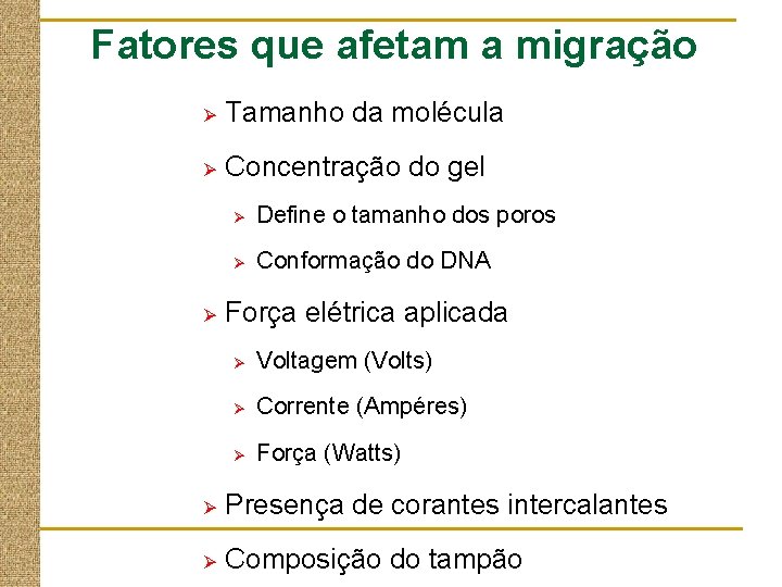 Fatores que afetam a migração Ø Tamanho da molécula Ø Concentração do gel Ø