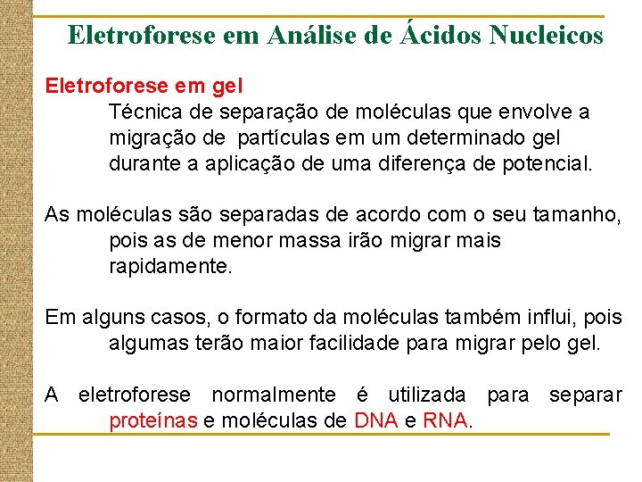 Eletroforese em Análise de Ácidos Nucleicos Eletroforese em gel Técnica de separação de moléculas