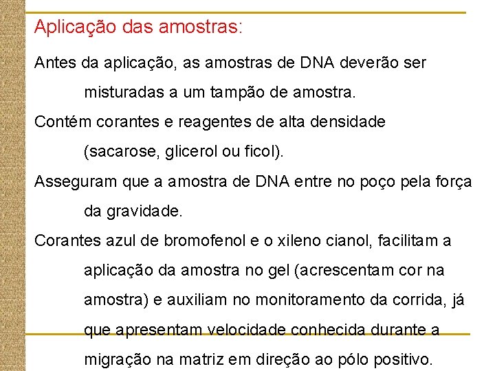 Aplicação das amostras: Antes da aplicação, as amostras de DNA deverão ser misturadas a