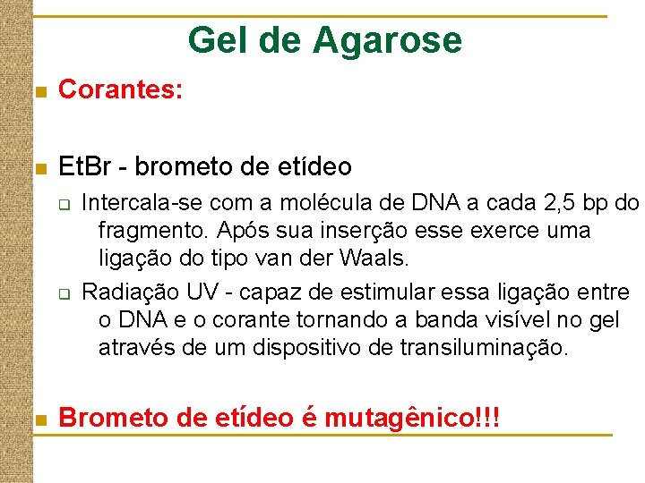 Gel de Agarose n Corantes: n Et. Br - brometo de etídeo q q