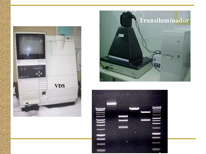 Transiluminador VDS 