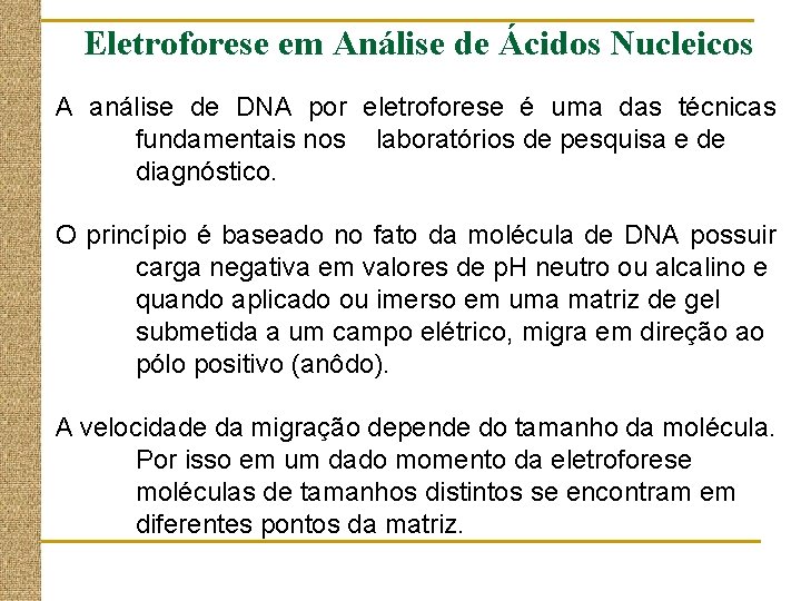 Eletroforese em Análise de Ácidos Nucleicos A análise de DNA por eletroforese é uma