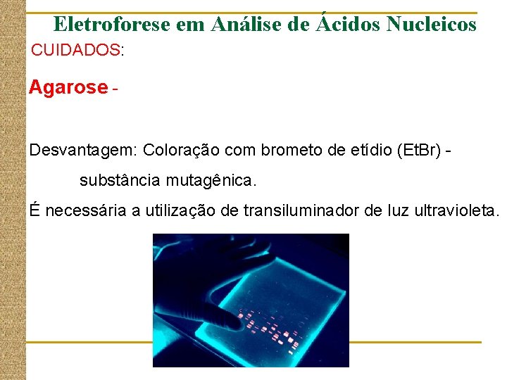 Eletroforese em Análise de Ácidos Nucleicos CUIDADOS: Agarose Desvantagem: Coloração com brometo de etídio