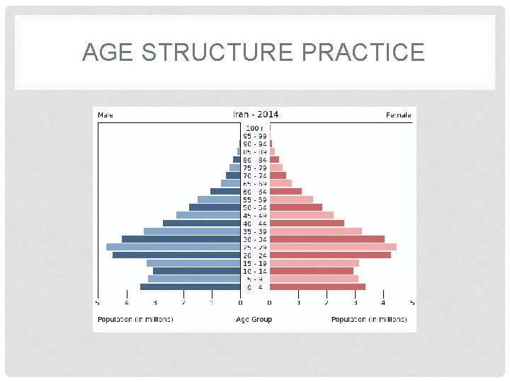 AGE STRUCTURE PRACTICE 