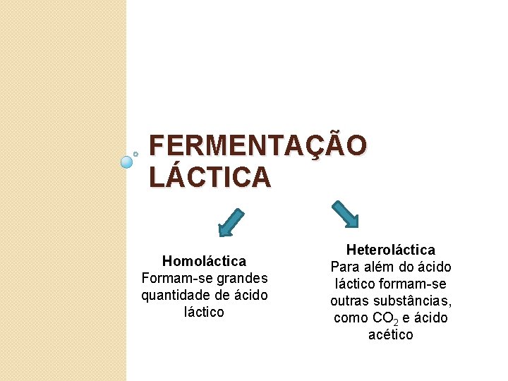 FERMENTAÇÃO LÁCTICA Homoláctica Formam-se grandes quantidade de ácido láctico Heteroláctica Para além do ácido