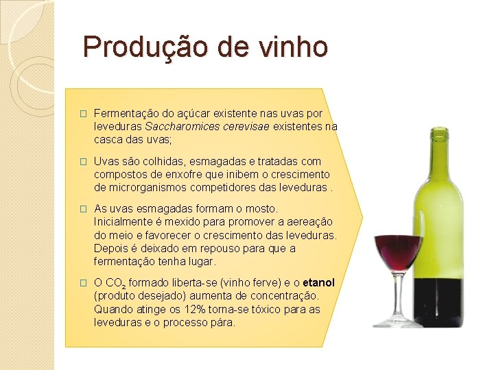 Produção de vinho � Fermentação do açúcar existente nas uvas por leveduras Saccharomices cerevisae