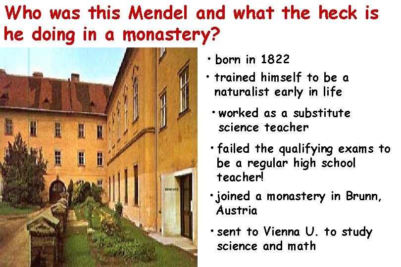 Who was this Mendel and what the heck is he doing in a monastery?